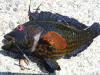 20150529_140524.jpg