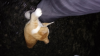 20160408_051354.jpg