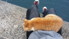 20160408_101914.jpg